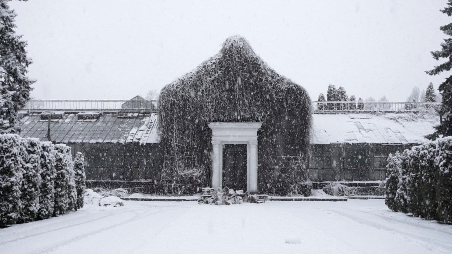 The Winter Garden’s Tale backdrop