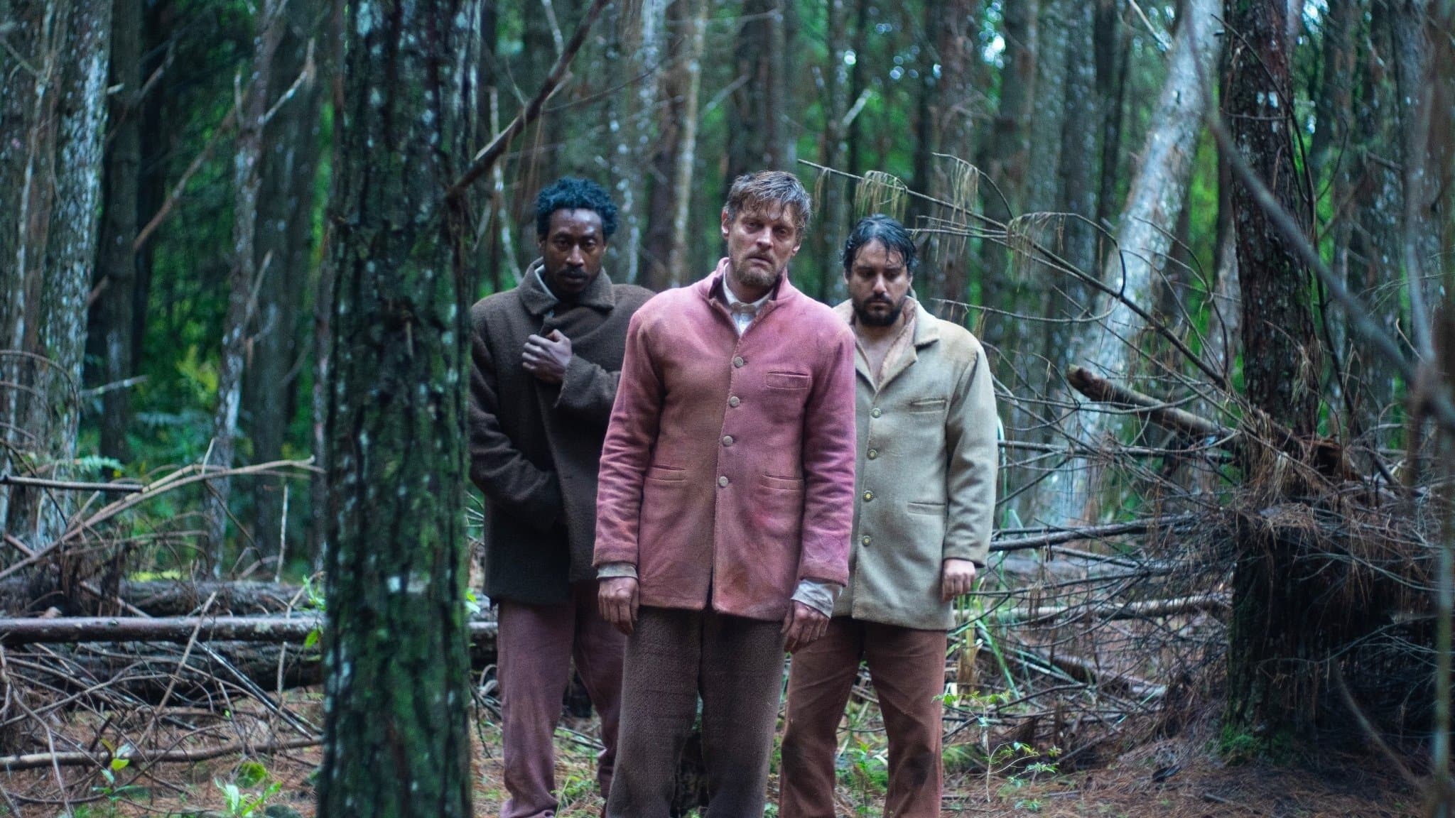 A Própria Carne backdrop