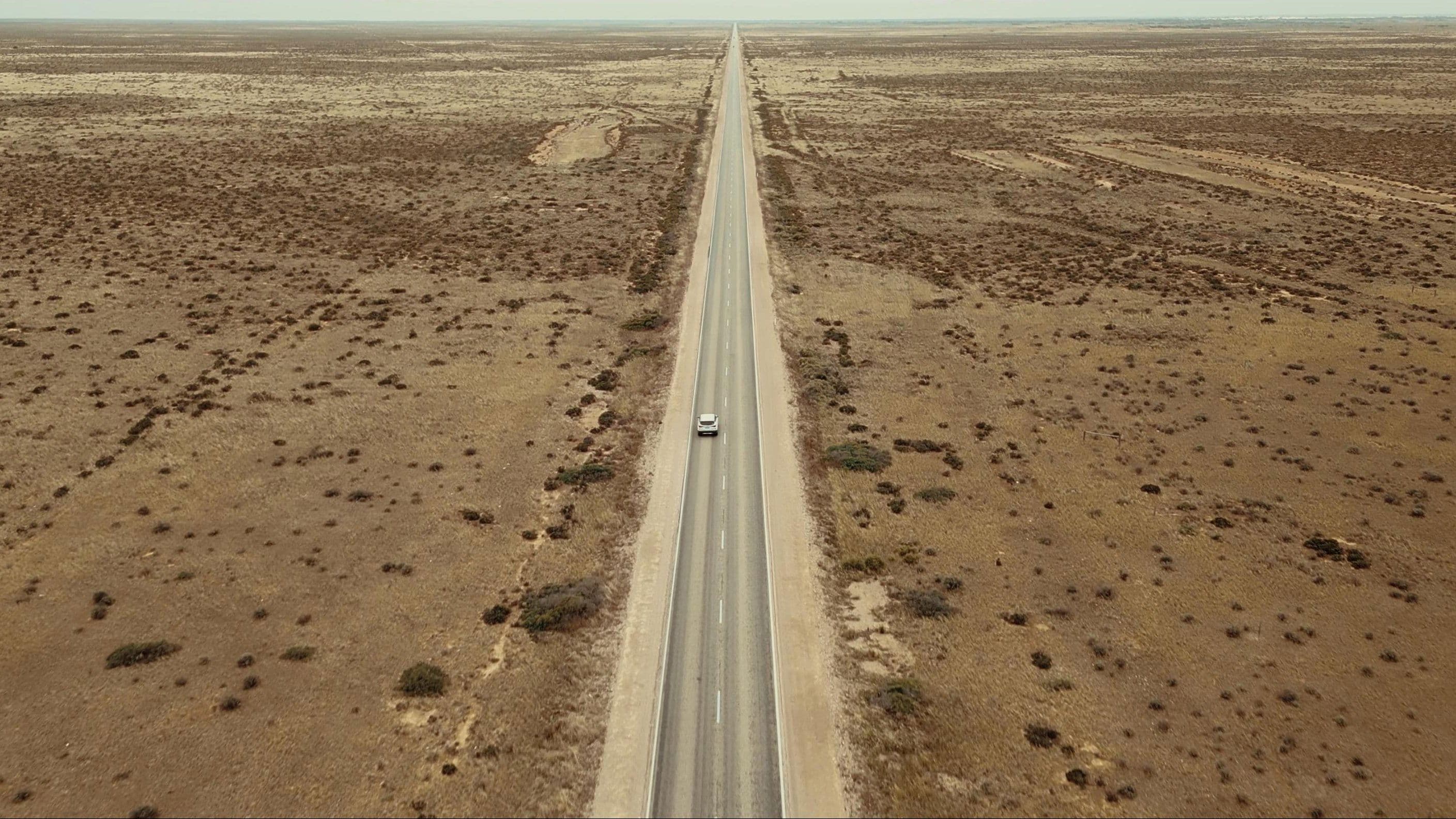 All That You Love backdrop