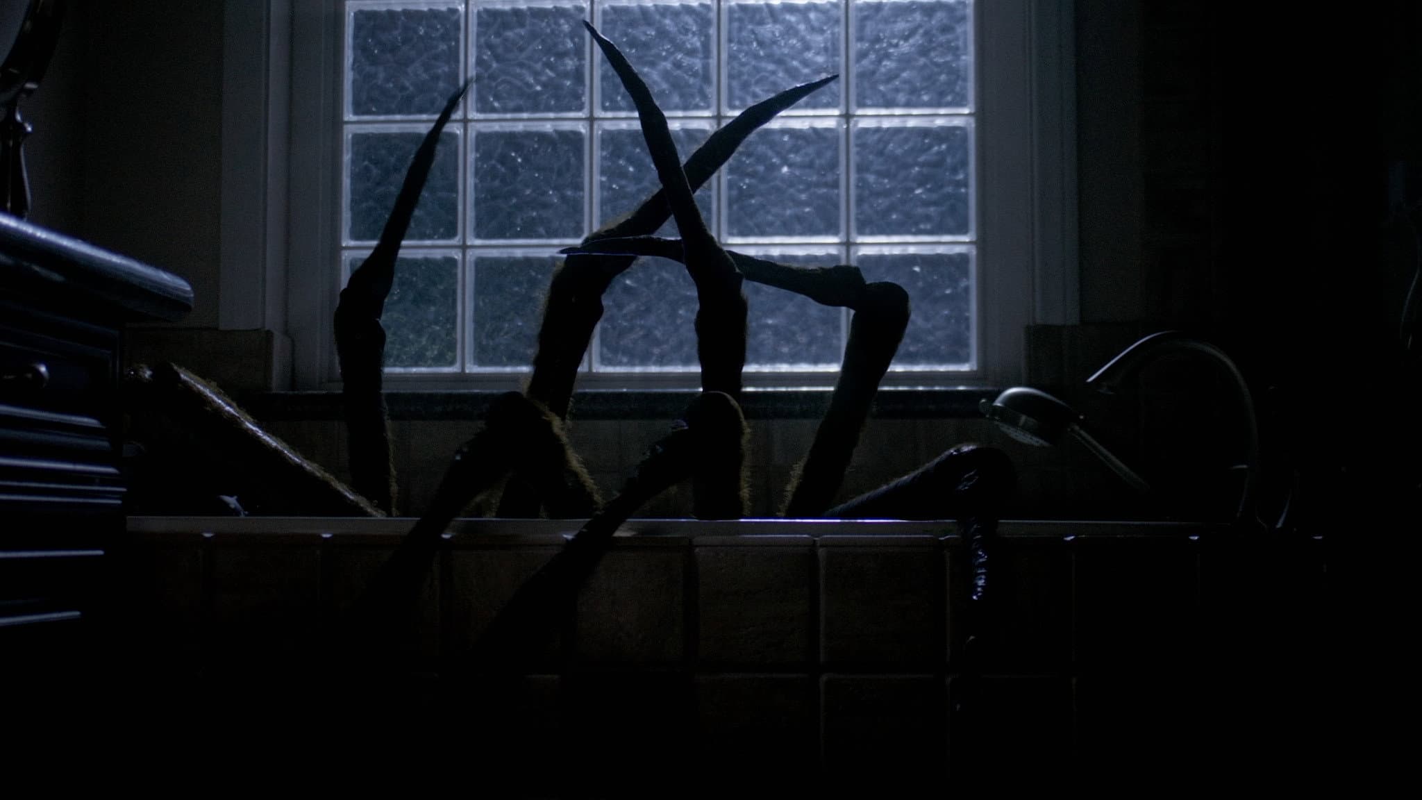 Night Spider backdrop