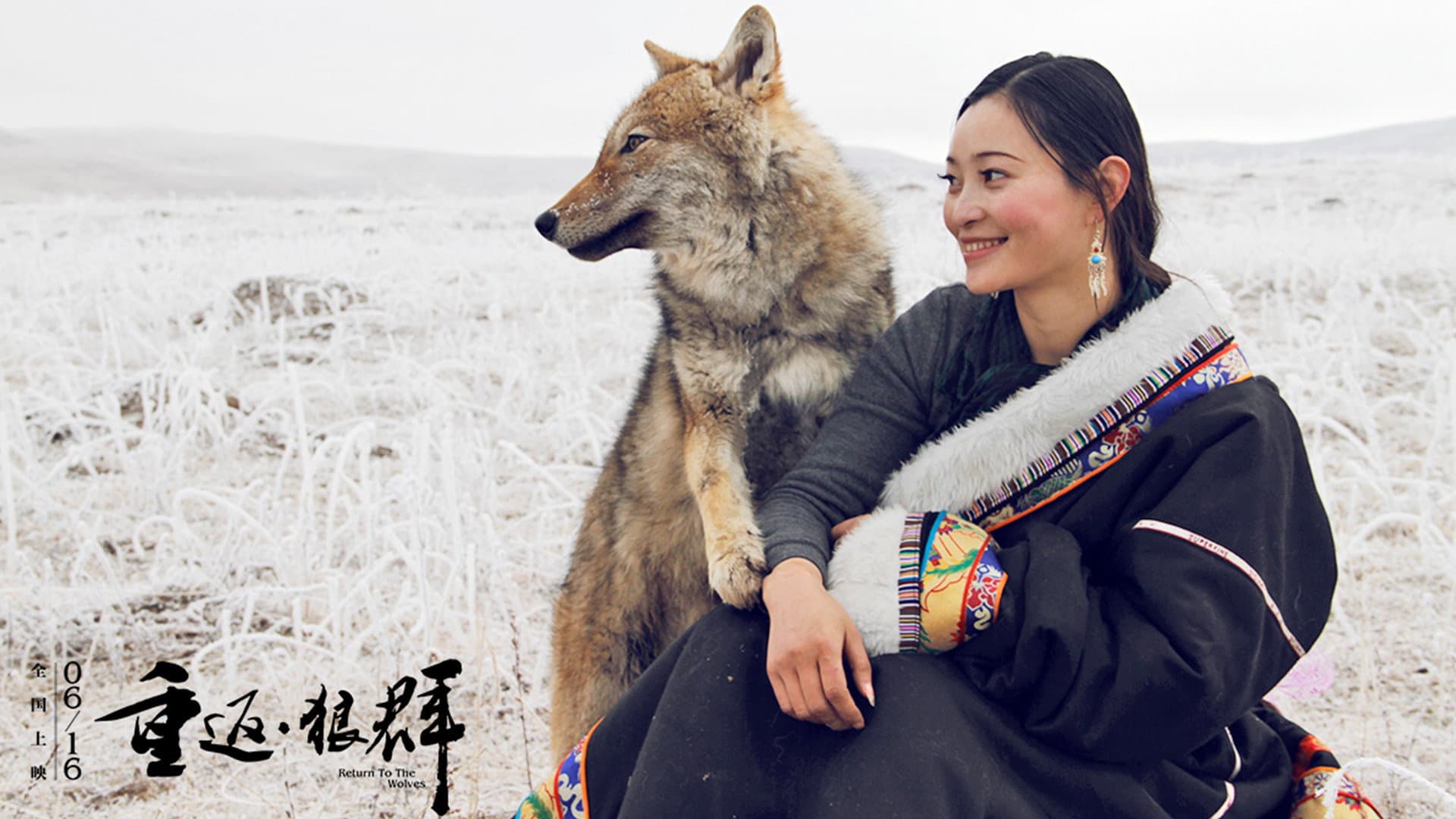 Return to the Wolves backdrop