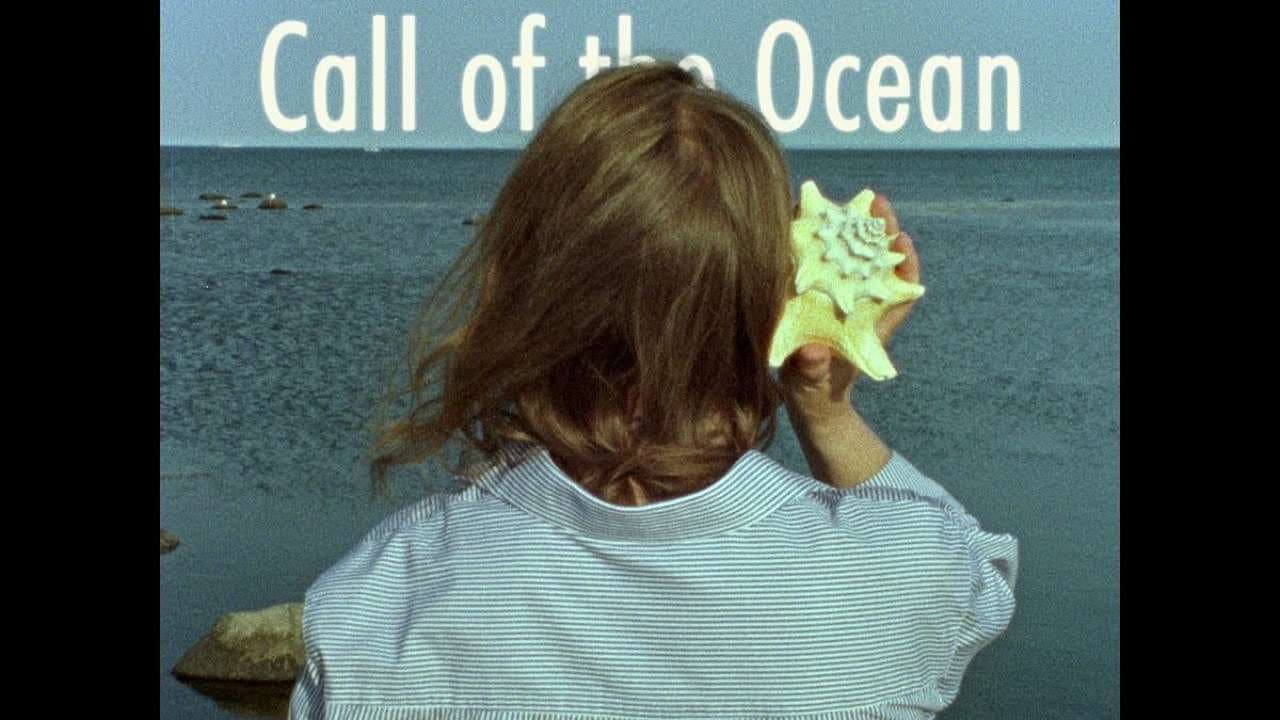 Call of the Ocean backdrop