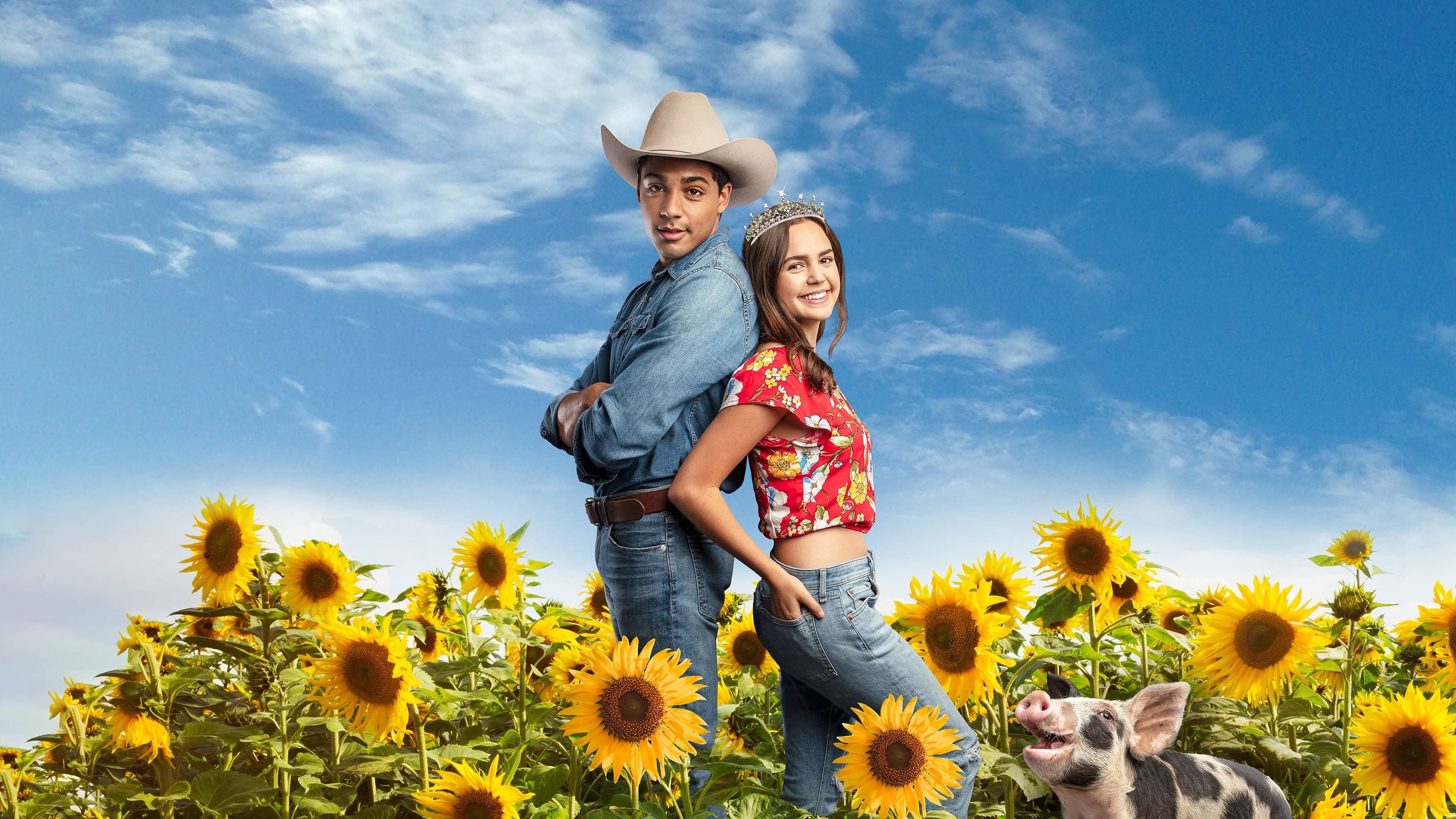 A Cinderella Story: Starstruck backdrop