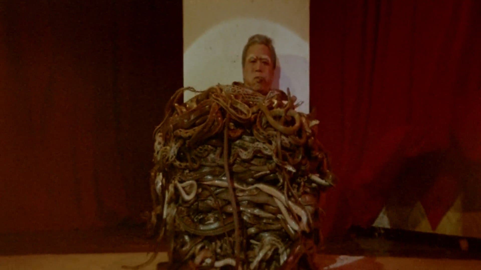 Calamity of Snakes backdrop