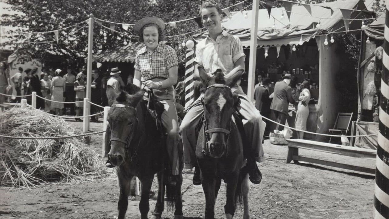 Down on the Farm backdrop