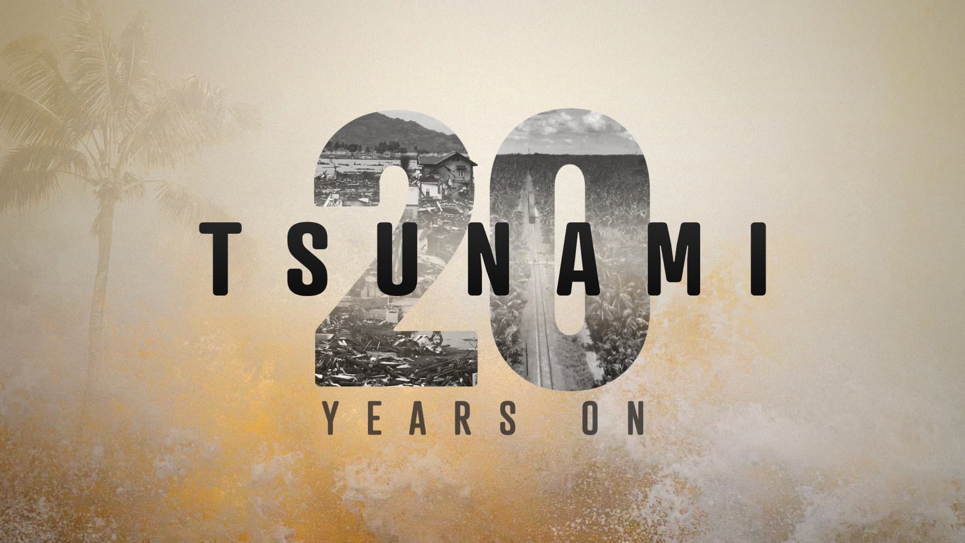 Tsunami: 20 Years On backdrop