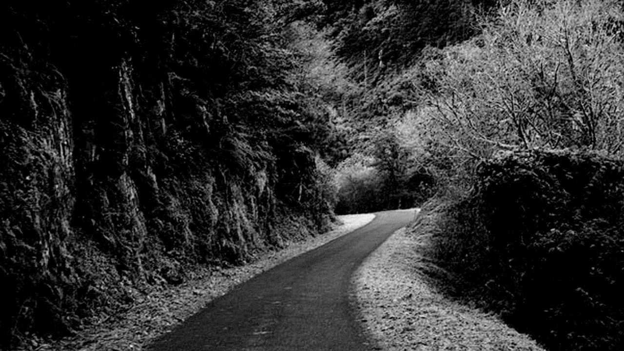 Praise of the Distance backdrop