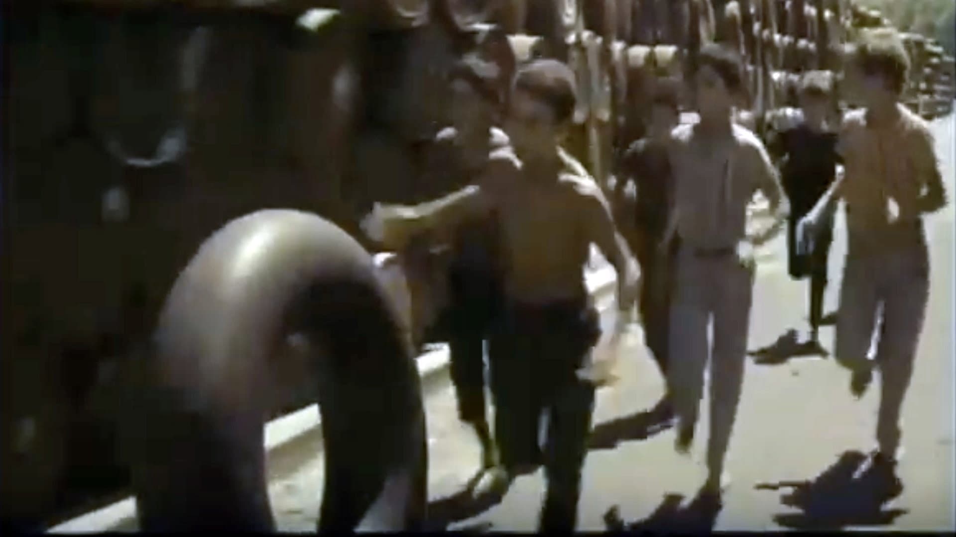 Les Moineaux d'Algérie backdrop