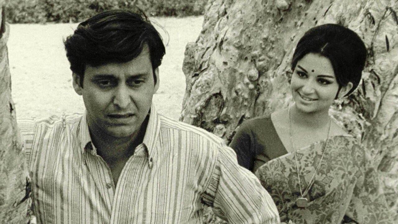 Days and Nights in the Forest backdrop