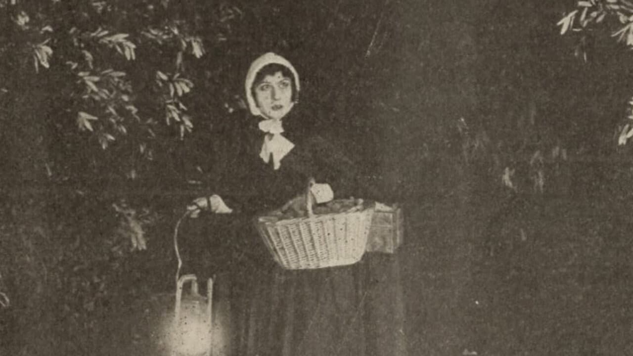 The Seekers backdrop