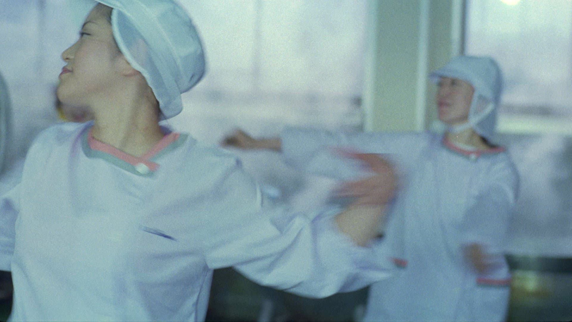 Underwater Love backdrop