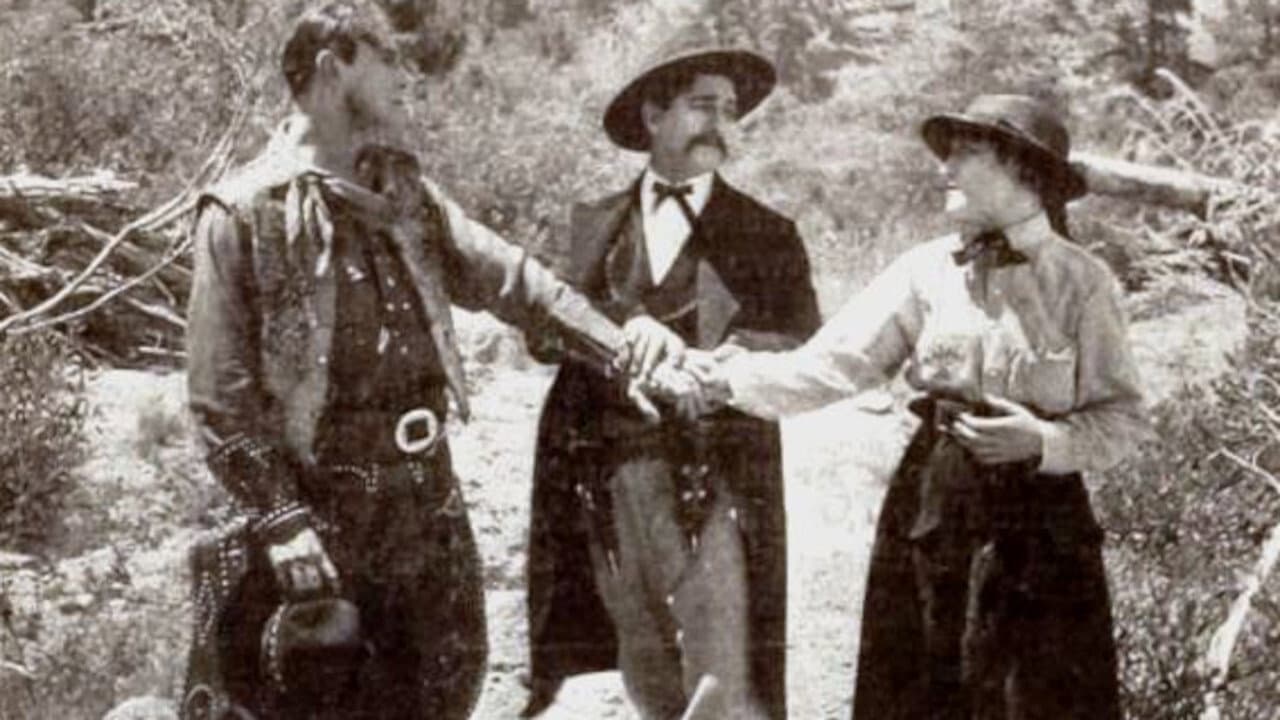 The Desire of the Moth backdrop