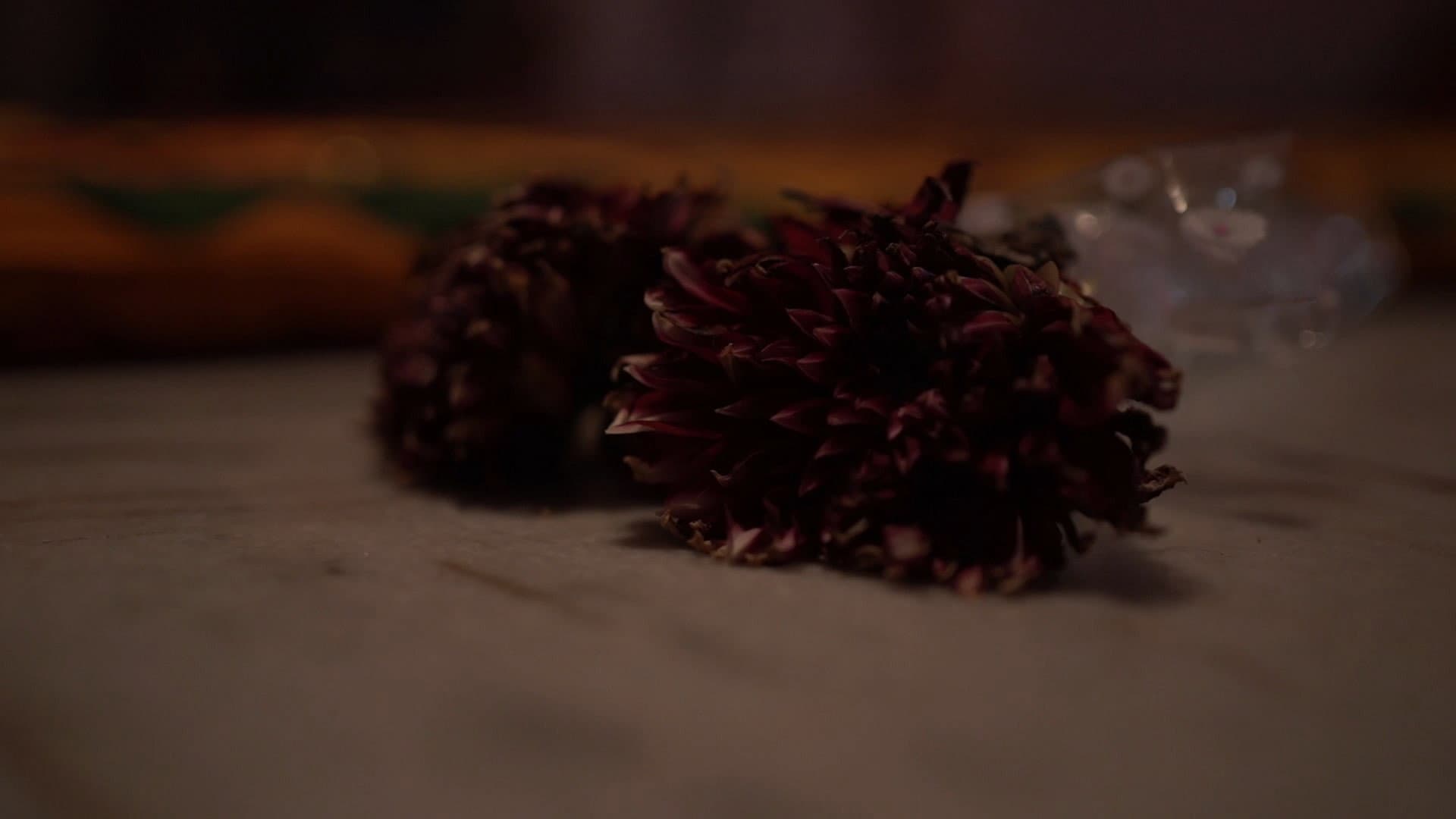 The Silent Scream backdrop