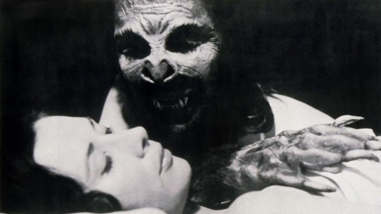 The Bat People backdrop