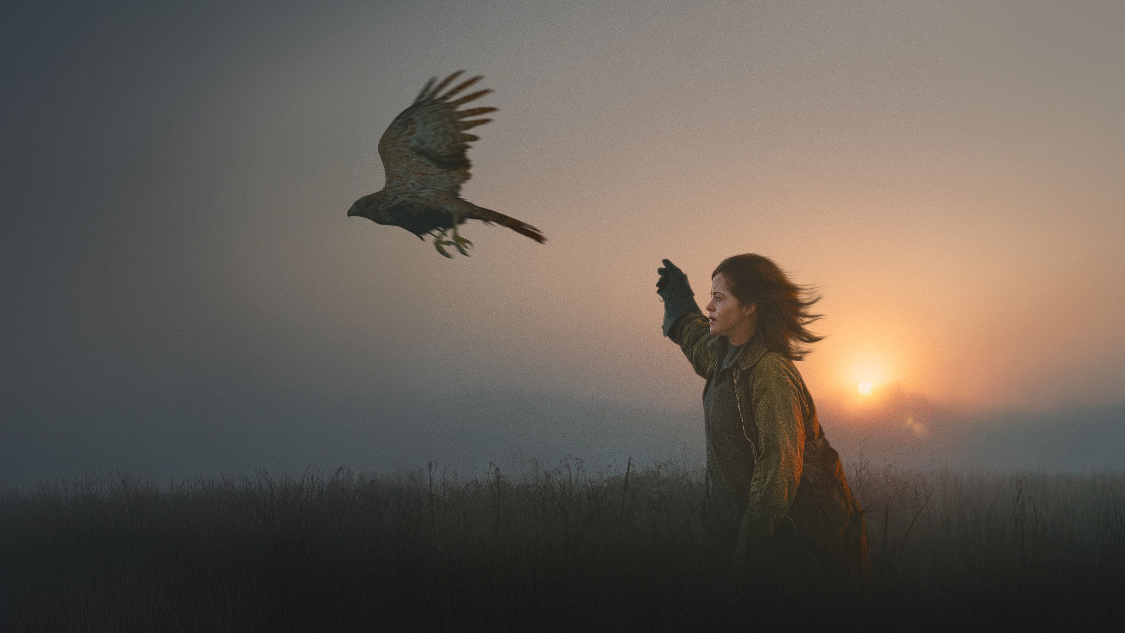 H Is for Hawk backdrop