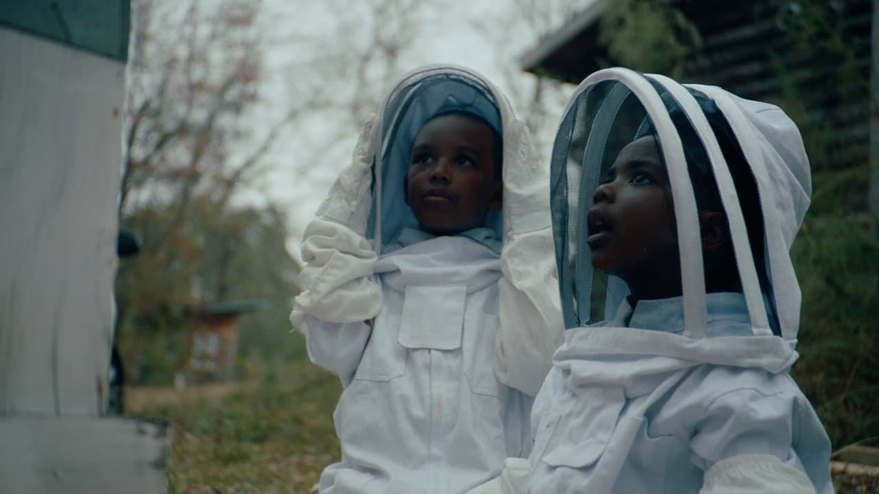 The Boys and the Bees backdrop