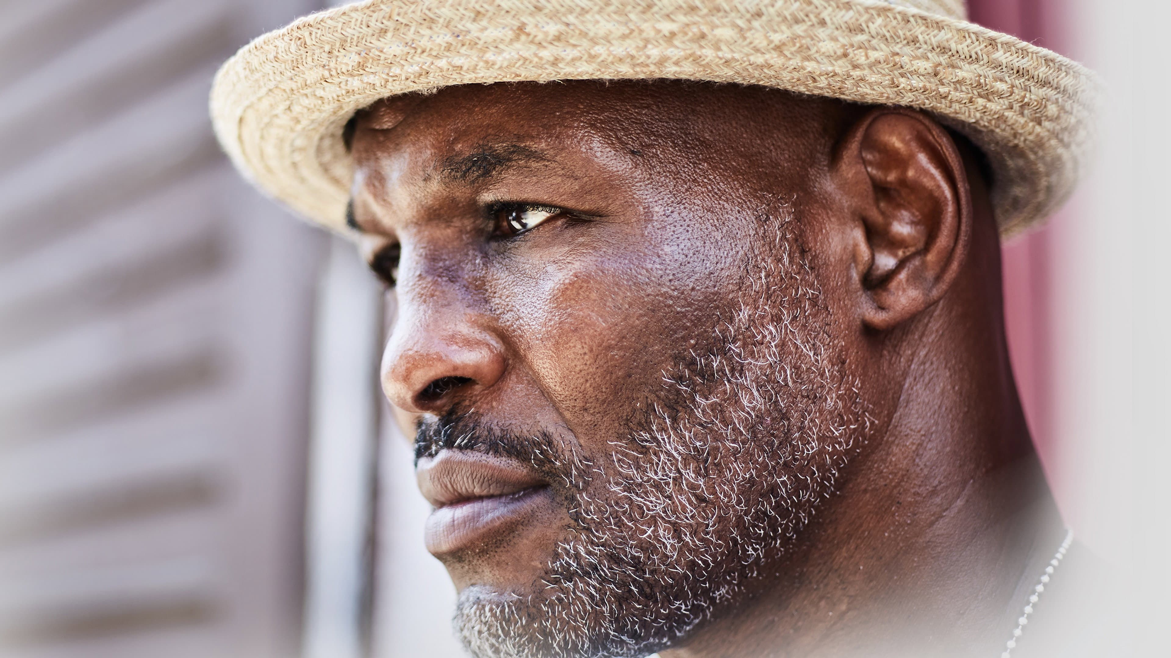 In the Company of Kings backdrop