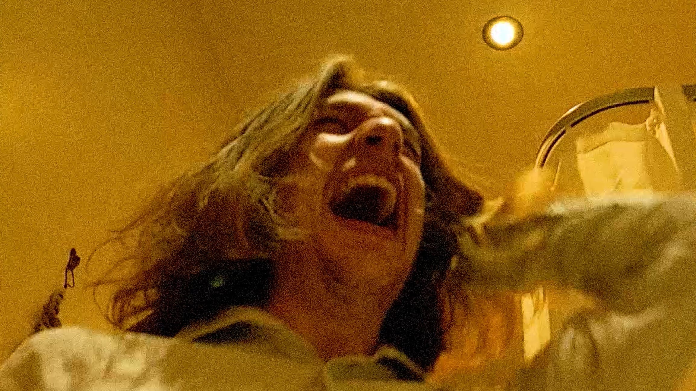 Brain-Shaker backdrop