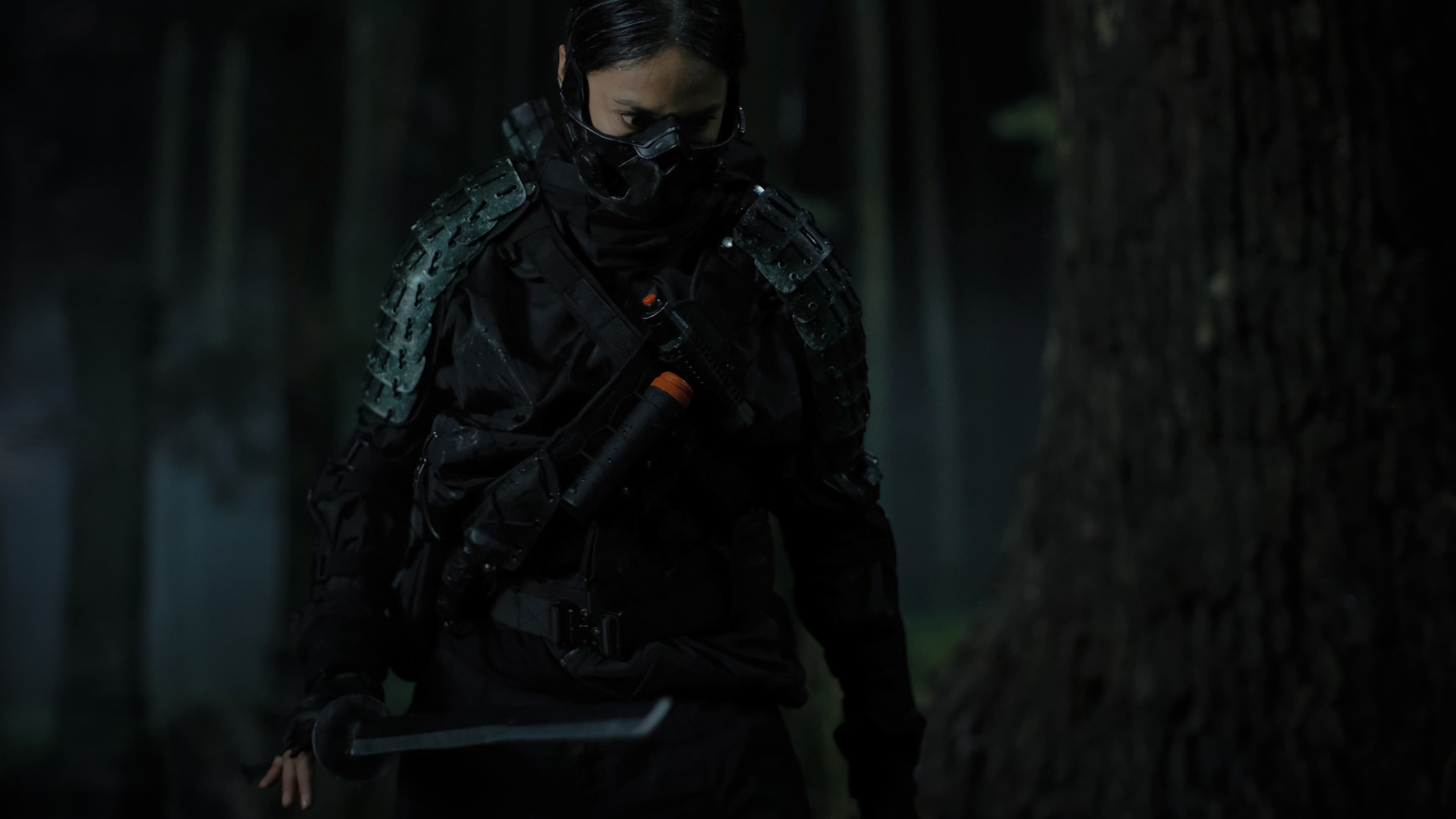 The Shadow Strays backdrop