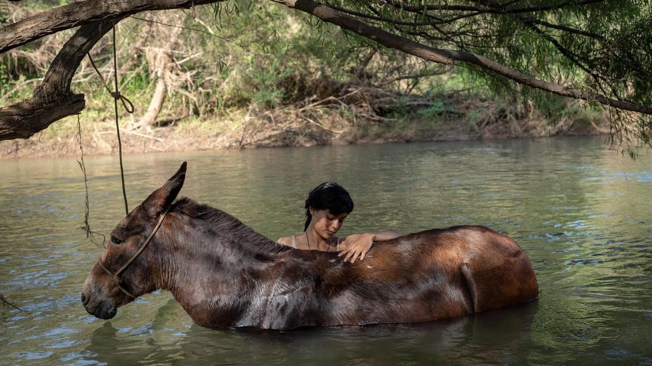 The Muleteer backdrop