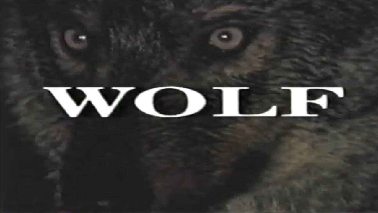 Predators of the Wild: Wolf backdrop
