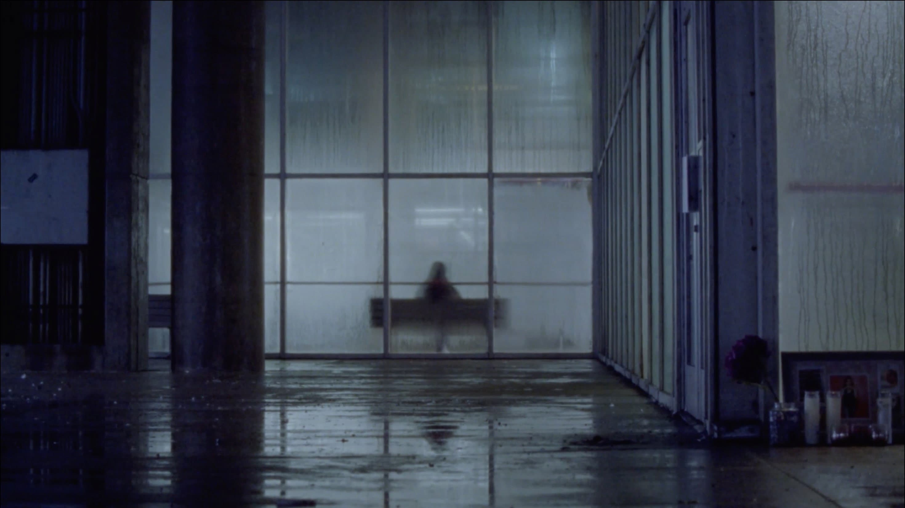 The Park Closes at Sunset. backdrop