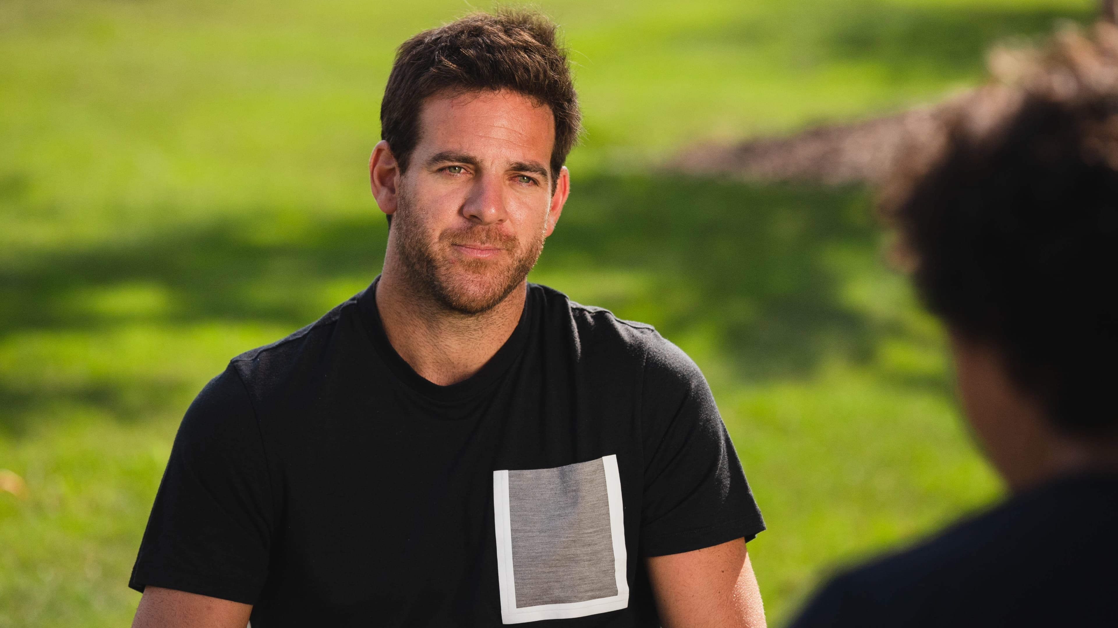 Del Potro, el último match point backdrop