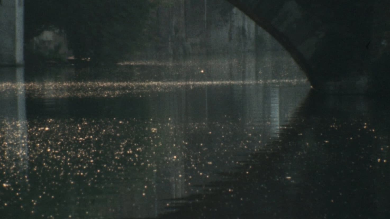 Bruges-La-Morte backdrop