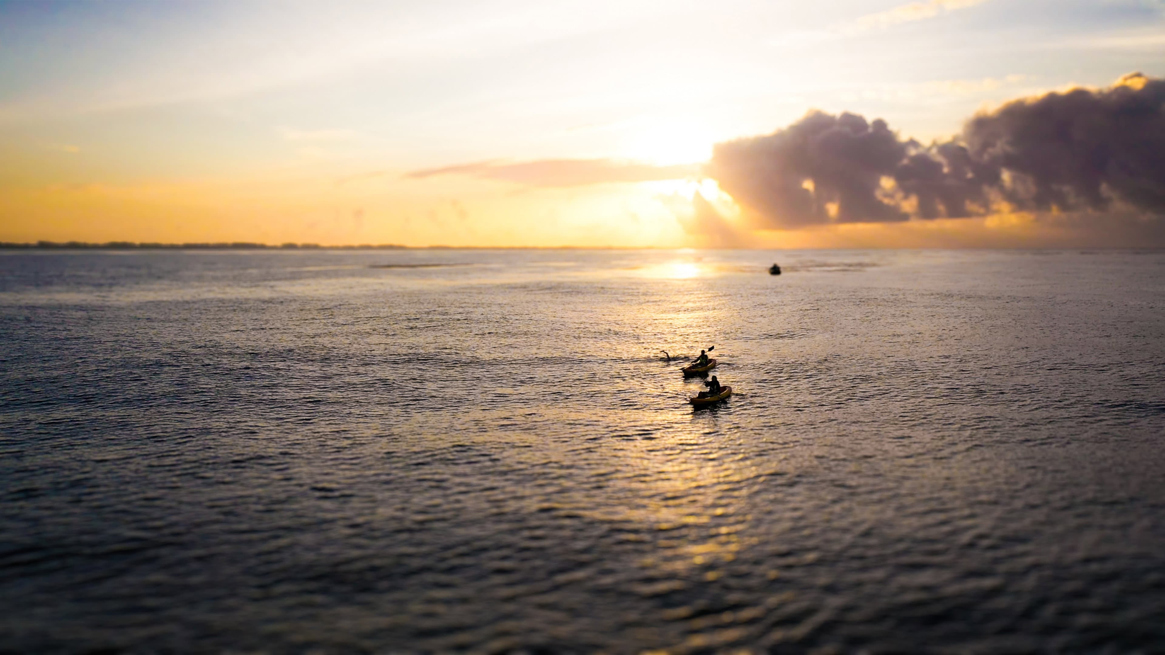 The Grand Swim backdrop