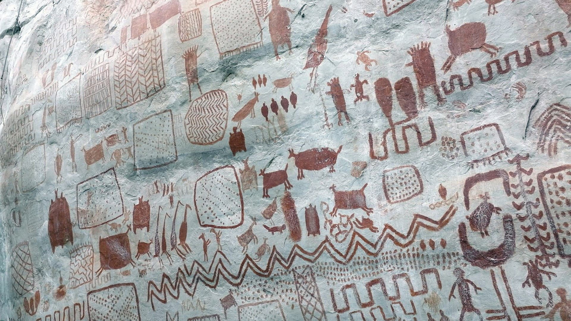 Les secrets des fresques d'Amazonie backdrop