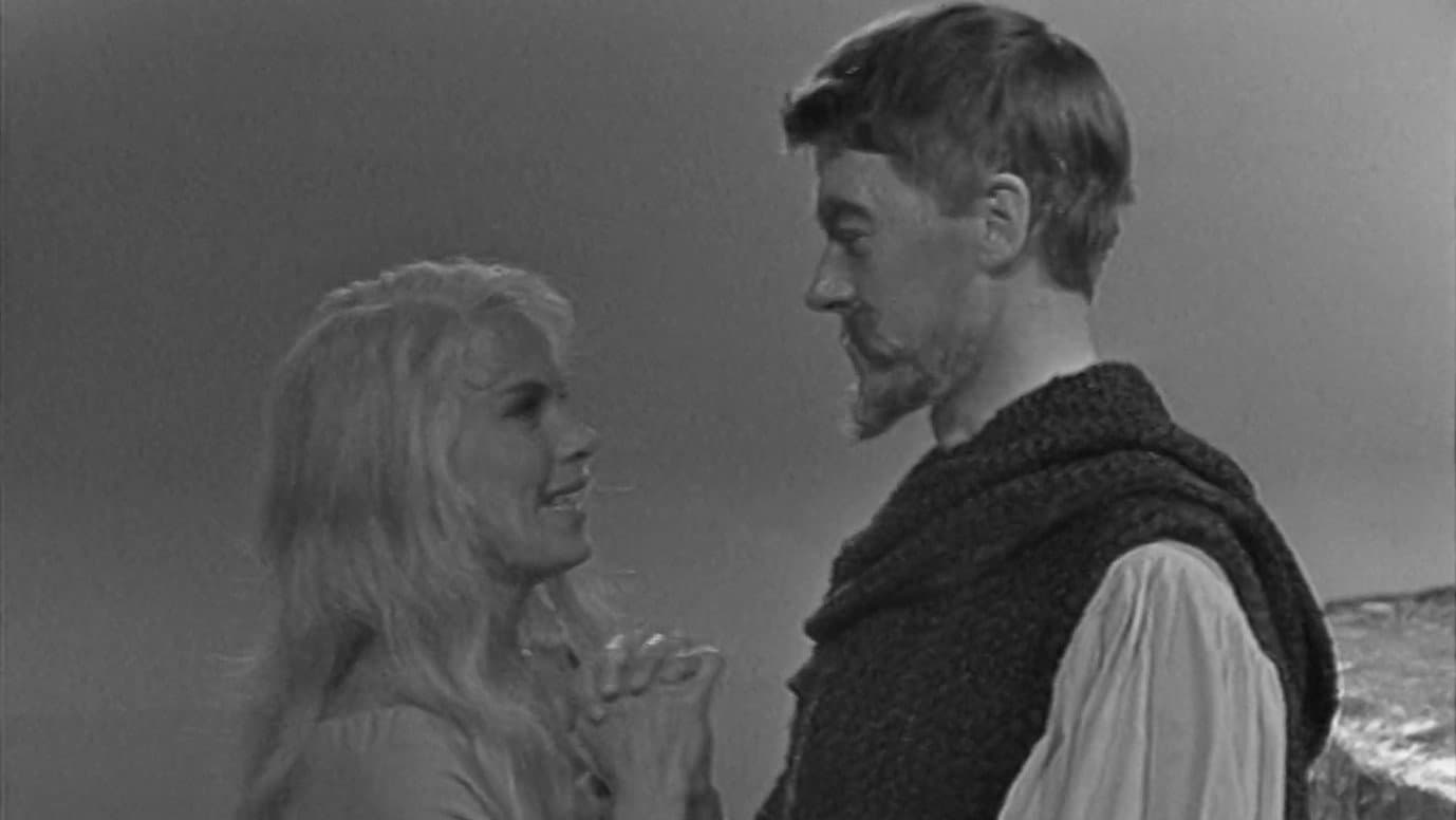 Twelfth Night backdrop