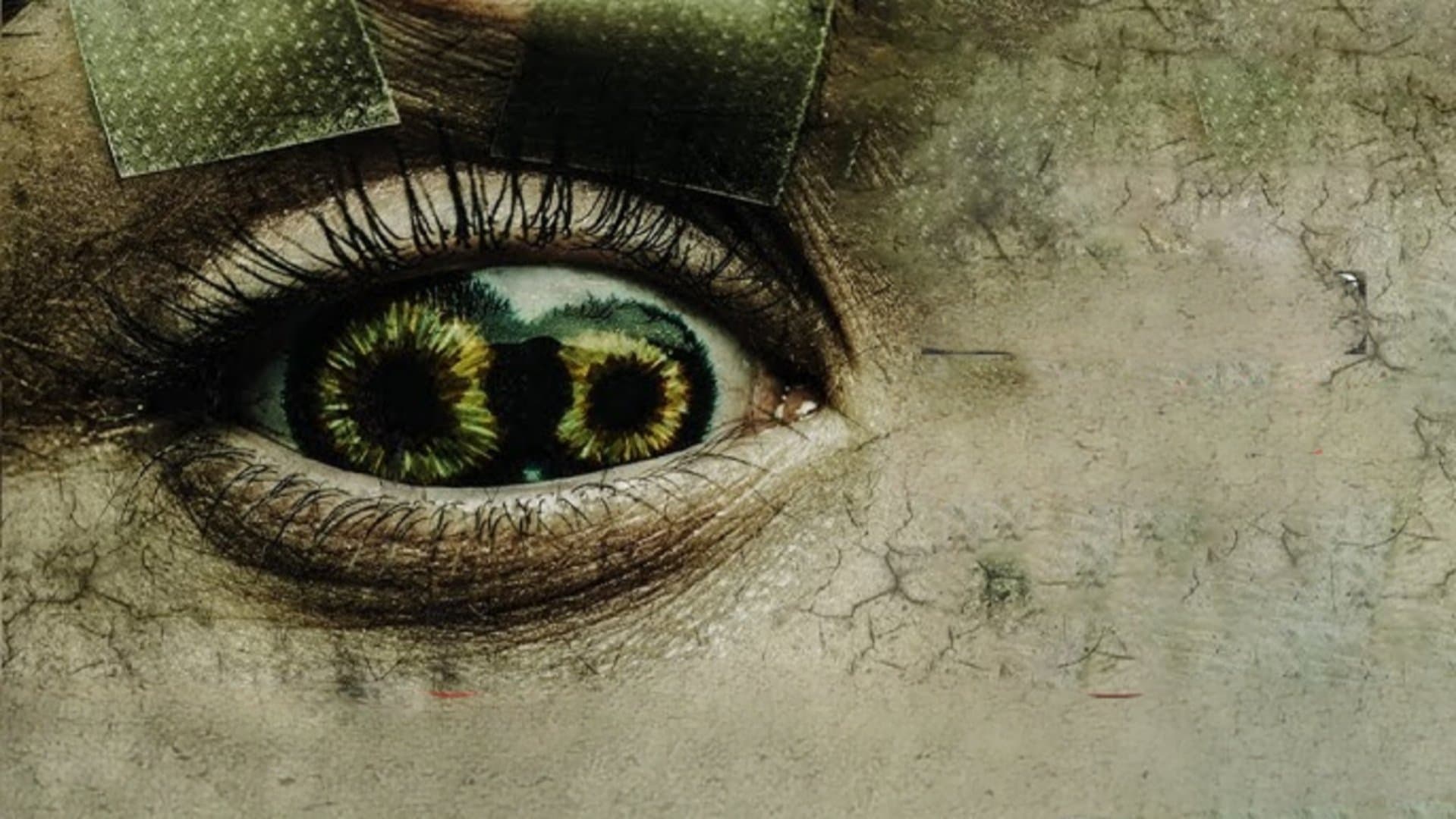 Never Blink backdrop