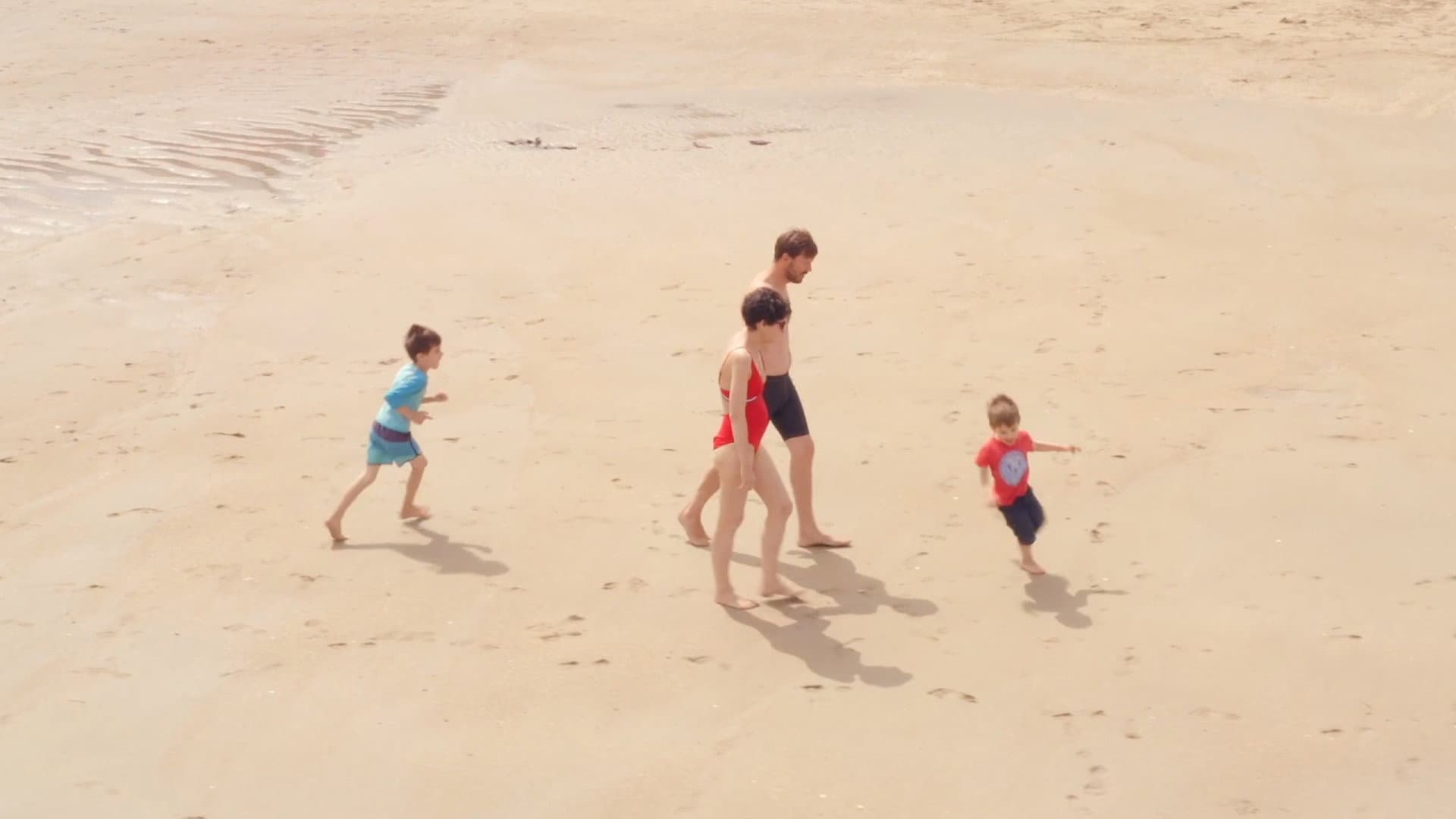 Dream of Storks backdrop