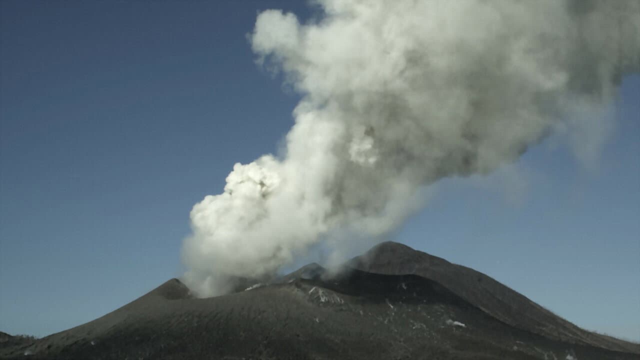Survivre aux catastrophes, les stratégies de la nature backdrop