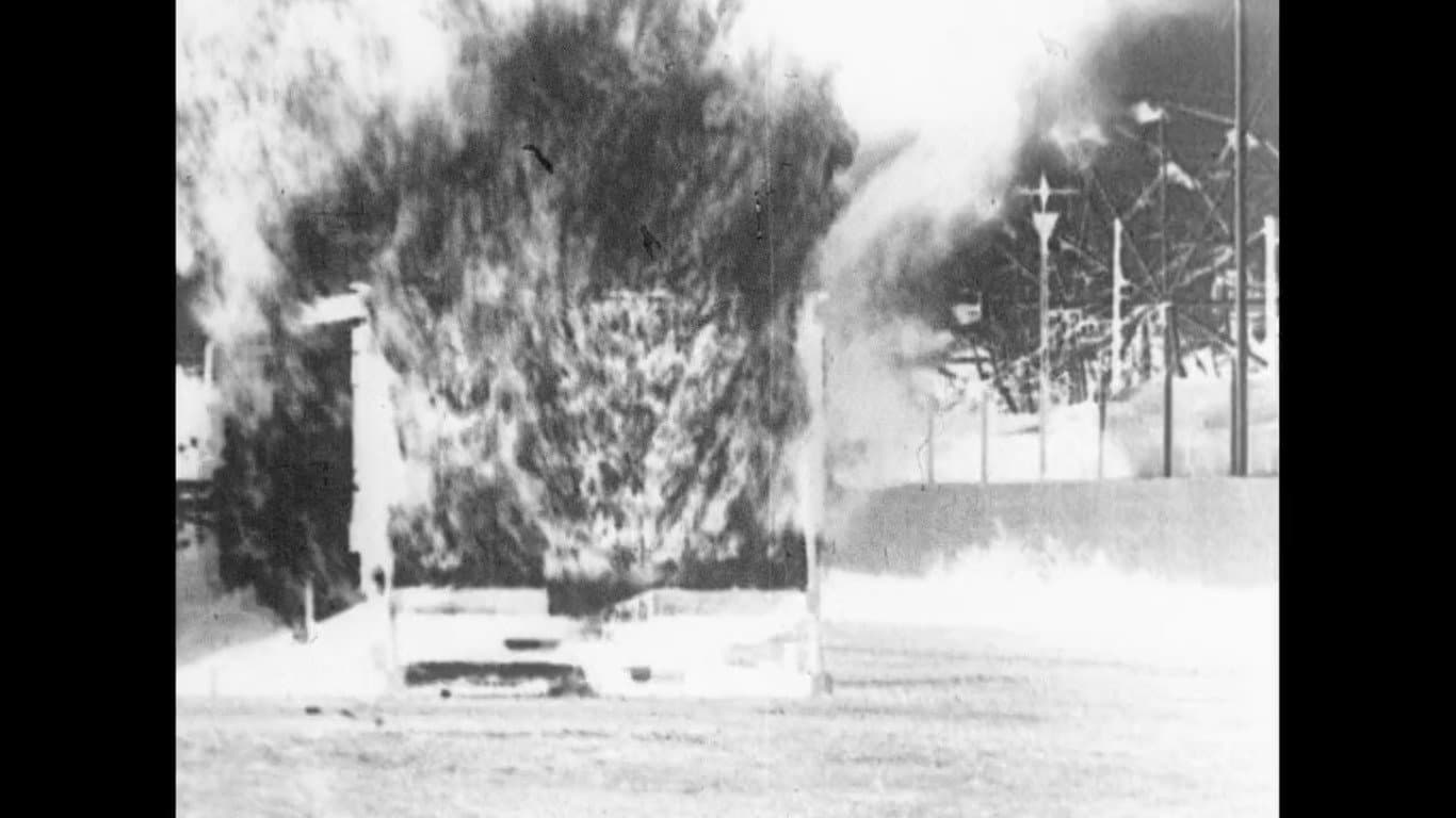 THE WHOLE SHEBANG backdrop