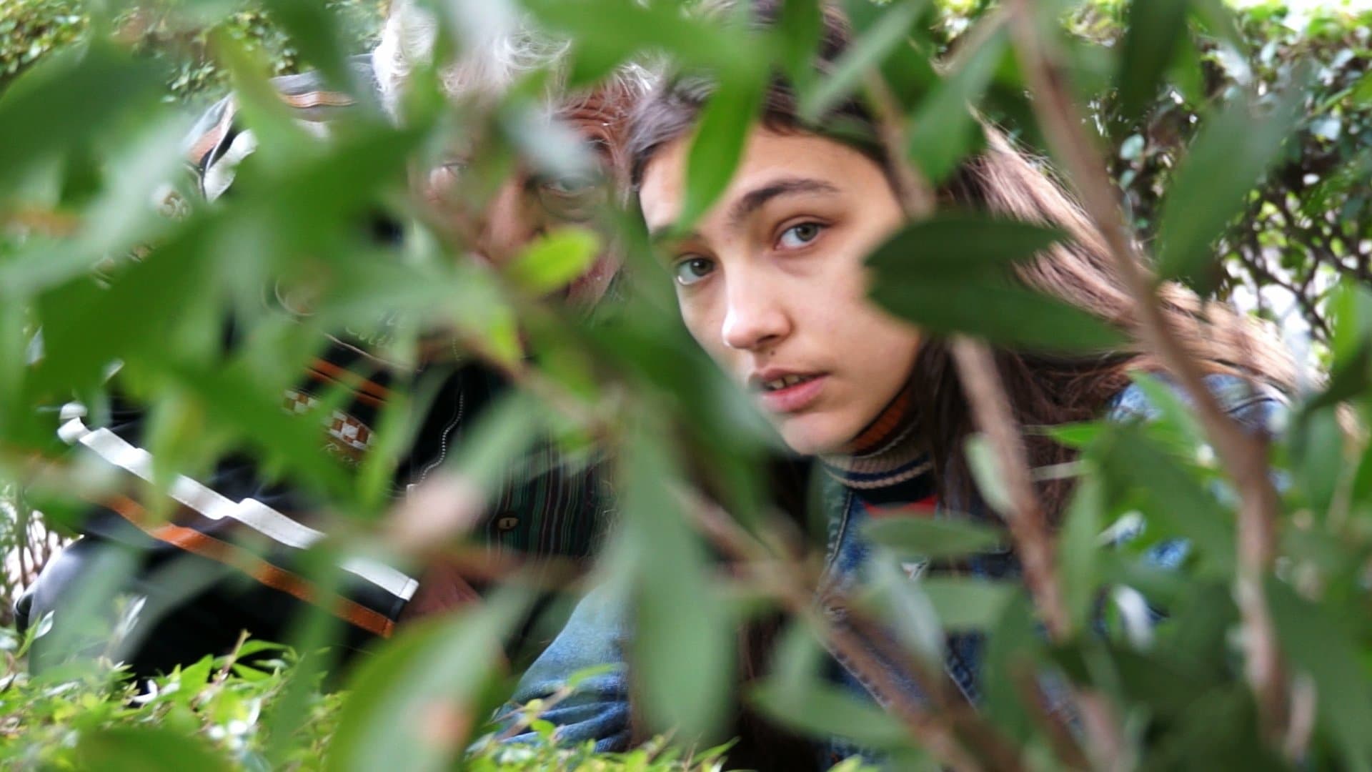 Divino tesoro backdrop