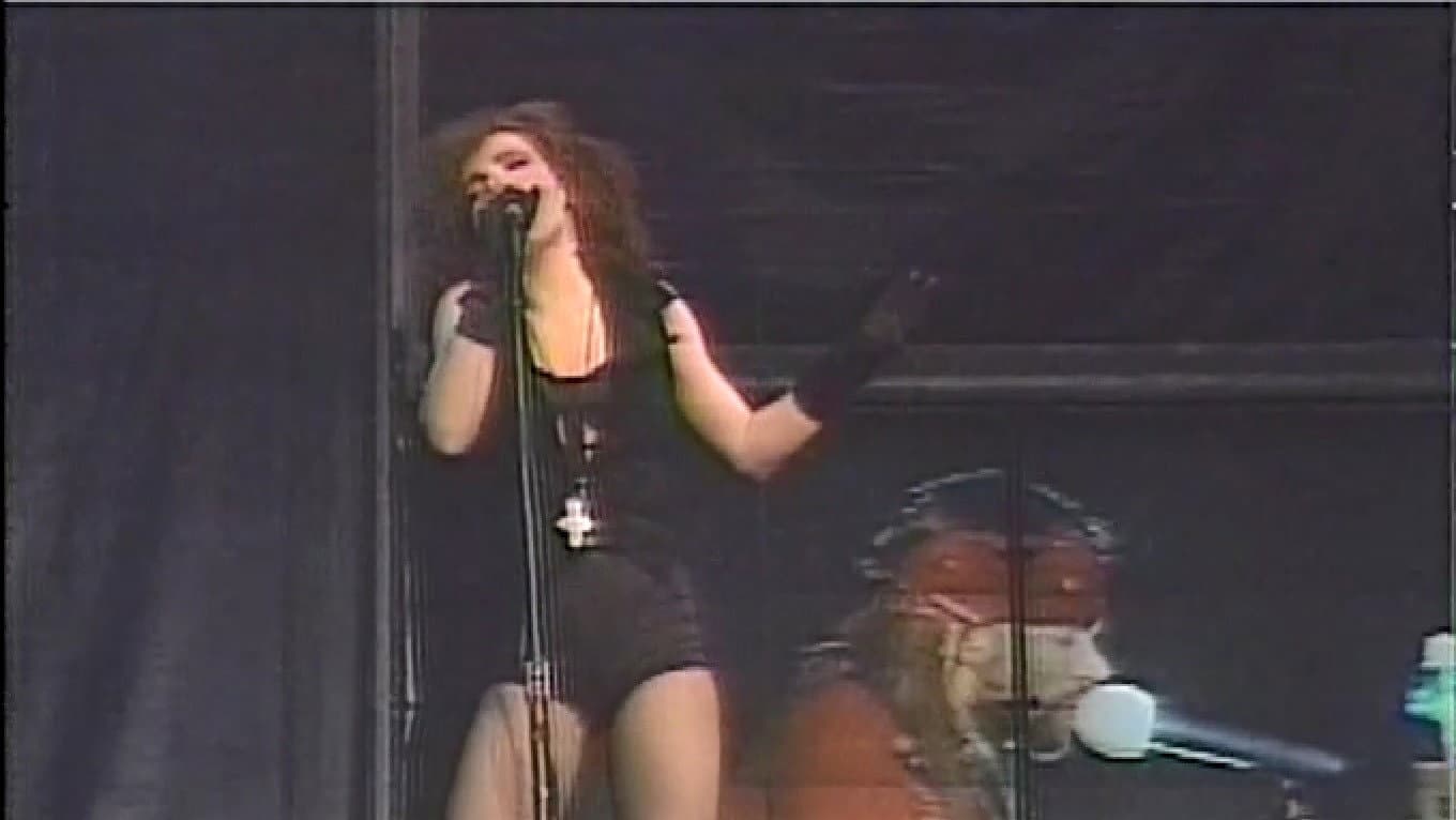 Guns N' Roses - Live in Paris backdrop