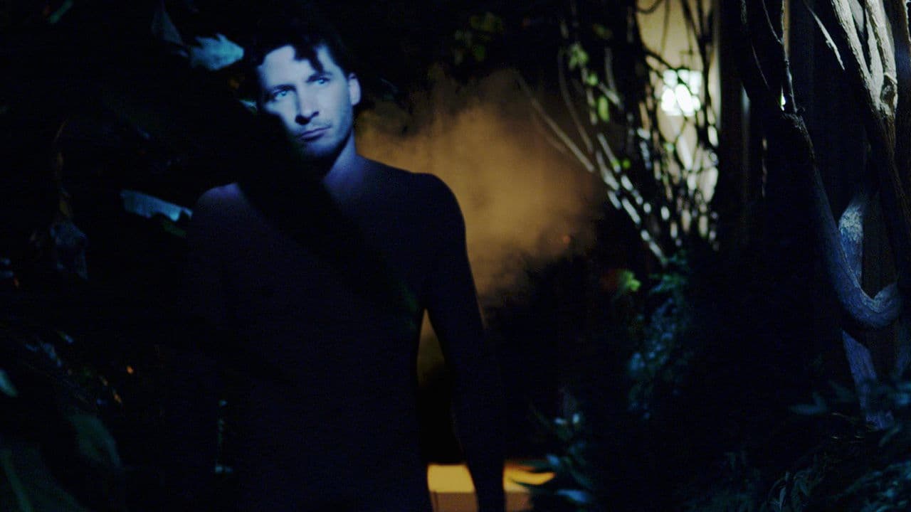 Hippopotamus backdrop