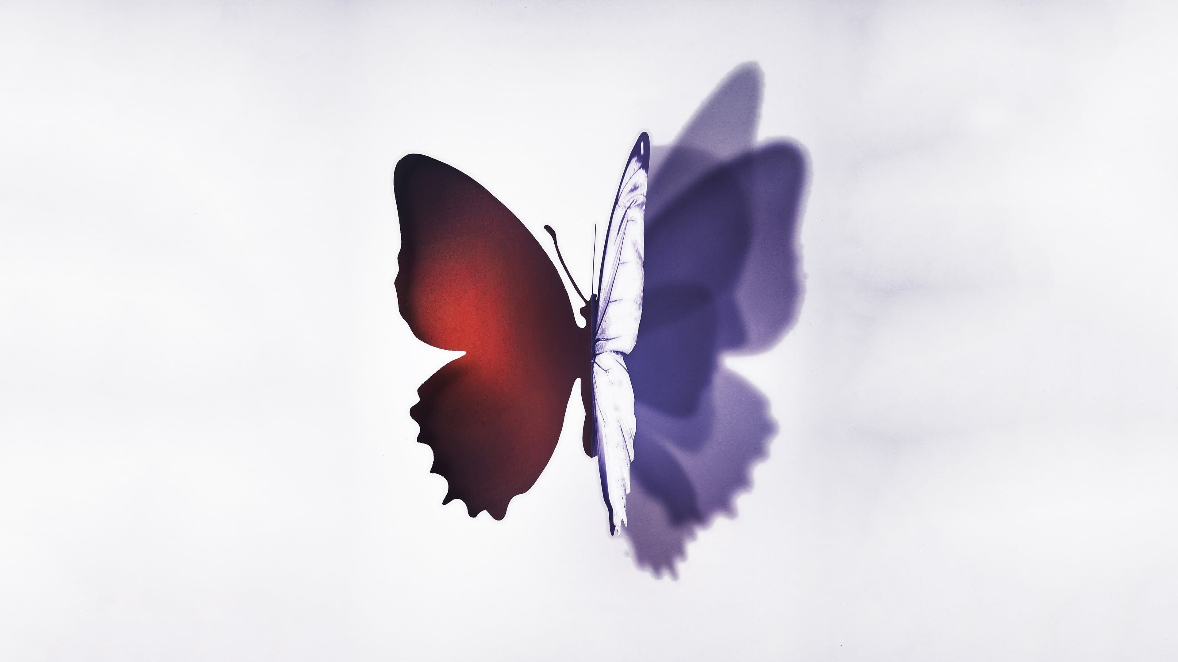 Complete Unknown backdrop