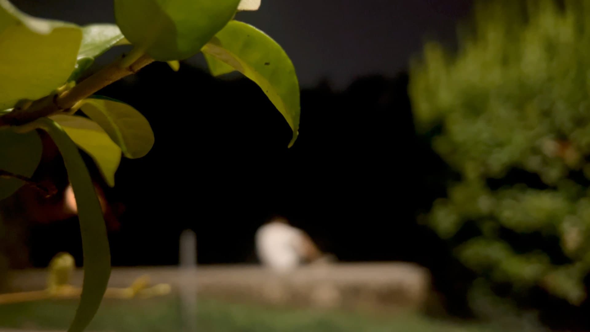 CONDENSAZIONE backdrop