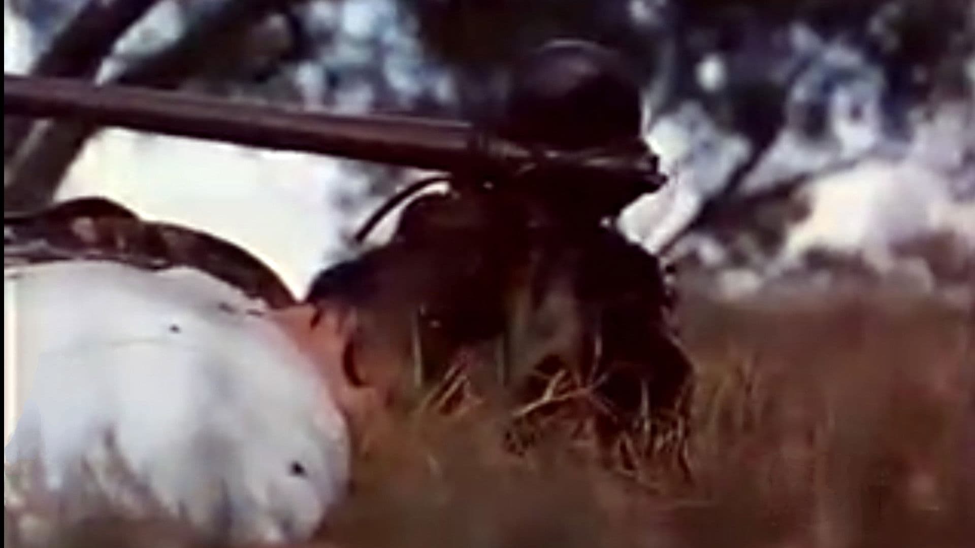 Demon Warrior backdrop