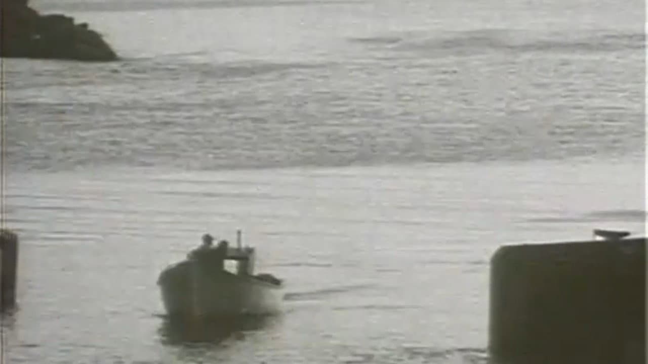 Fish or Cut Bait backdrop