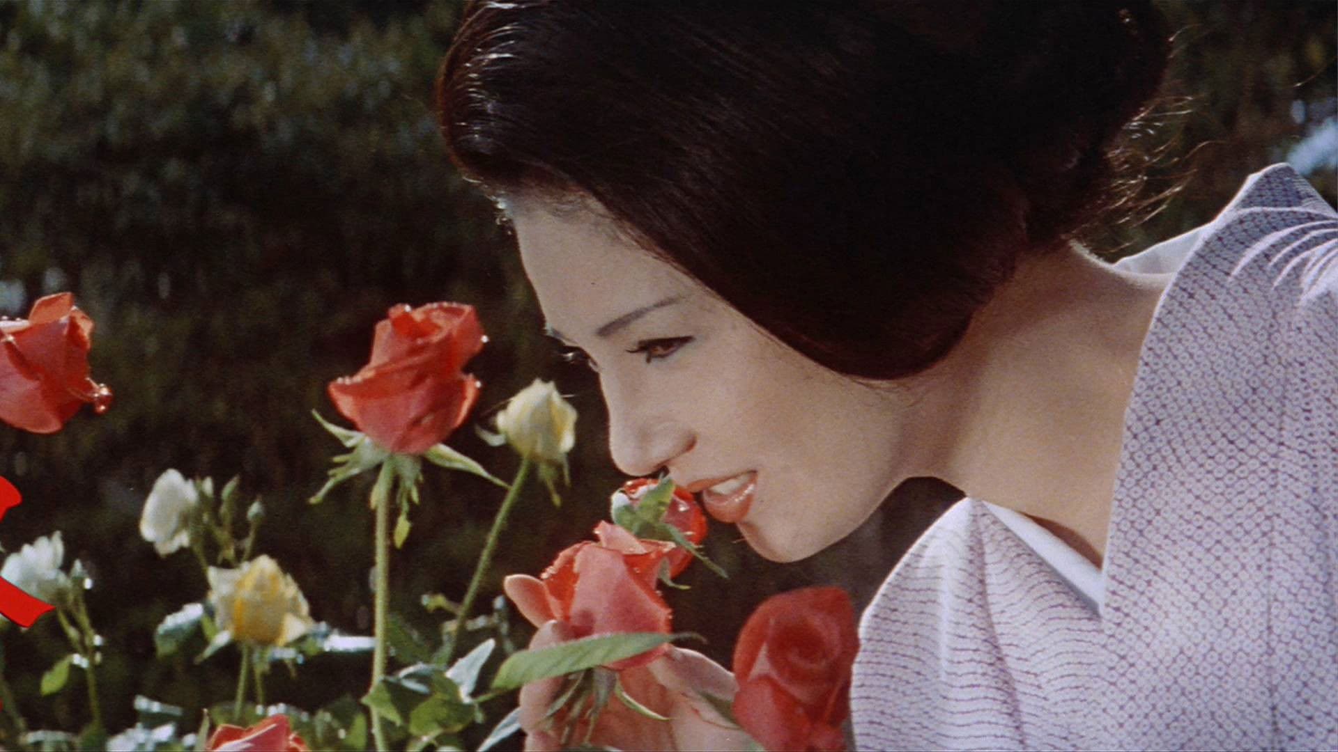 Flower & Snake backdrop