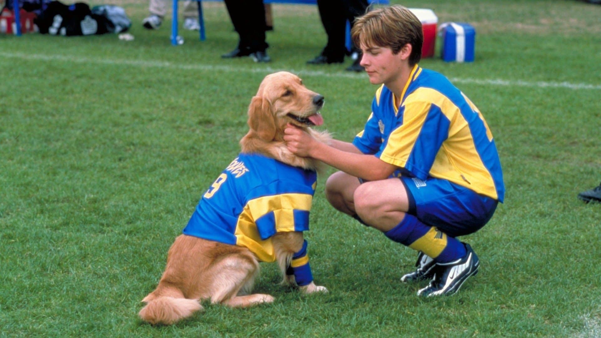 Air Bud: World Pup backdrop