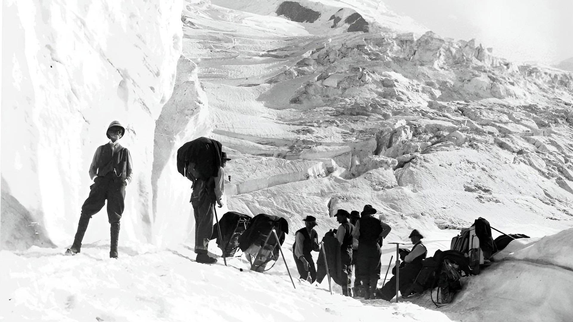 Les Lumières de Vallot backdrop