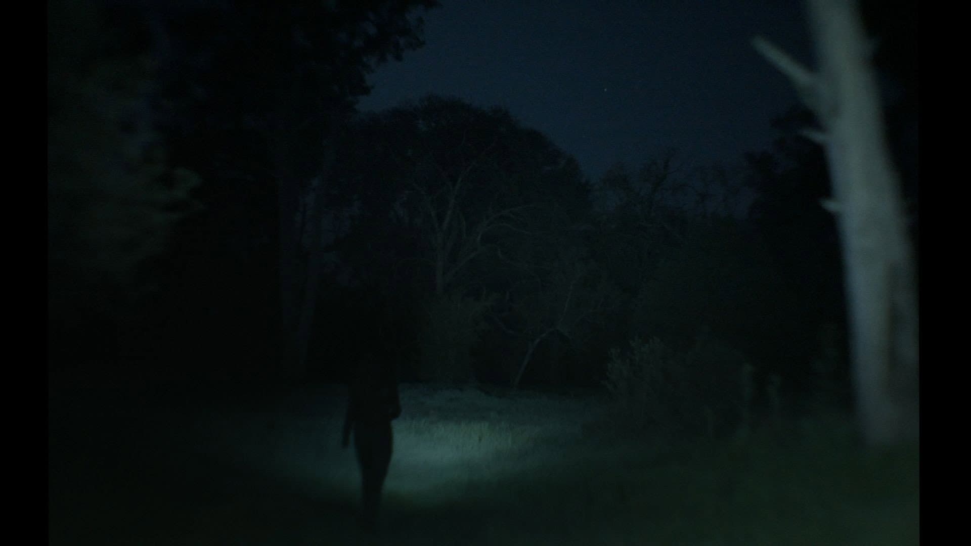 A veces pienso en volver backdrop