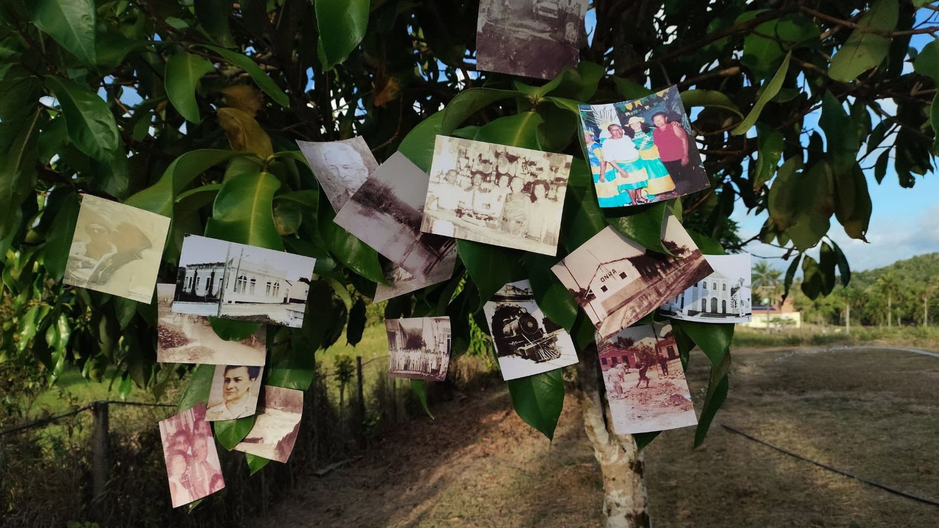 As Mãos Que Ergueram Rio Fundo, Antes De Muniz Ferreira backdrop