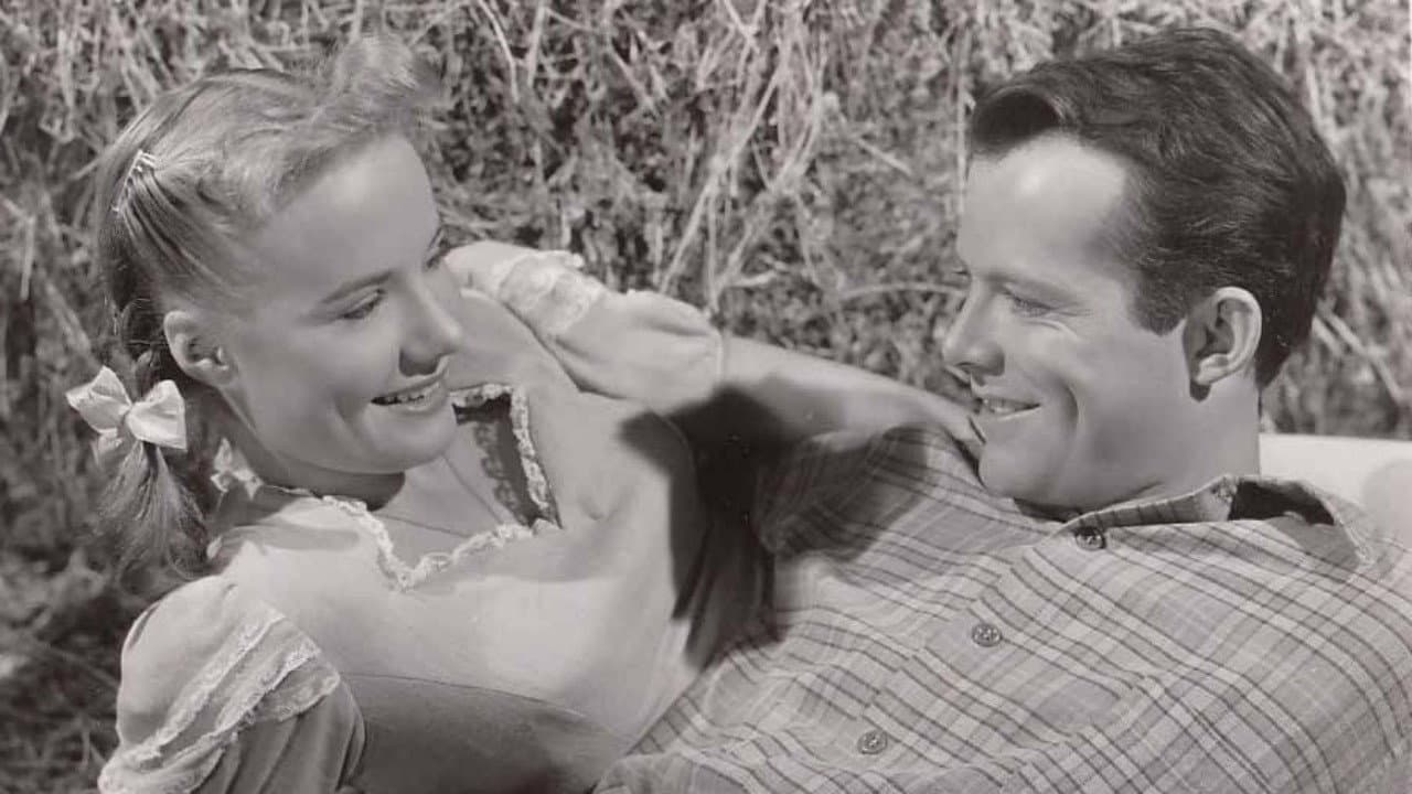 The Big Cat backdrop