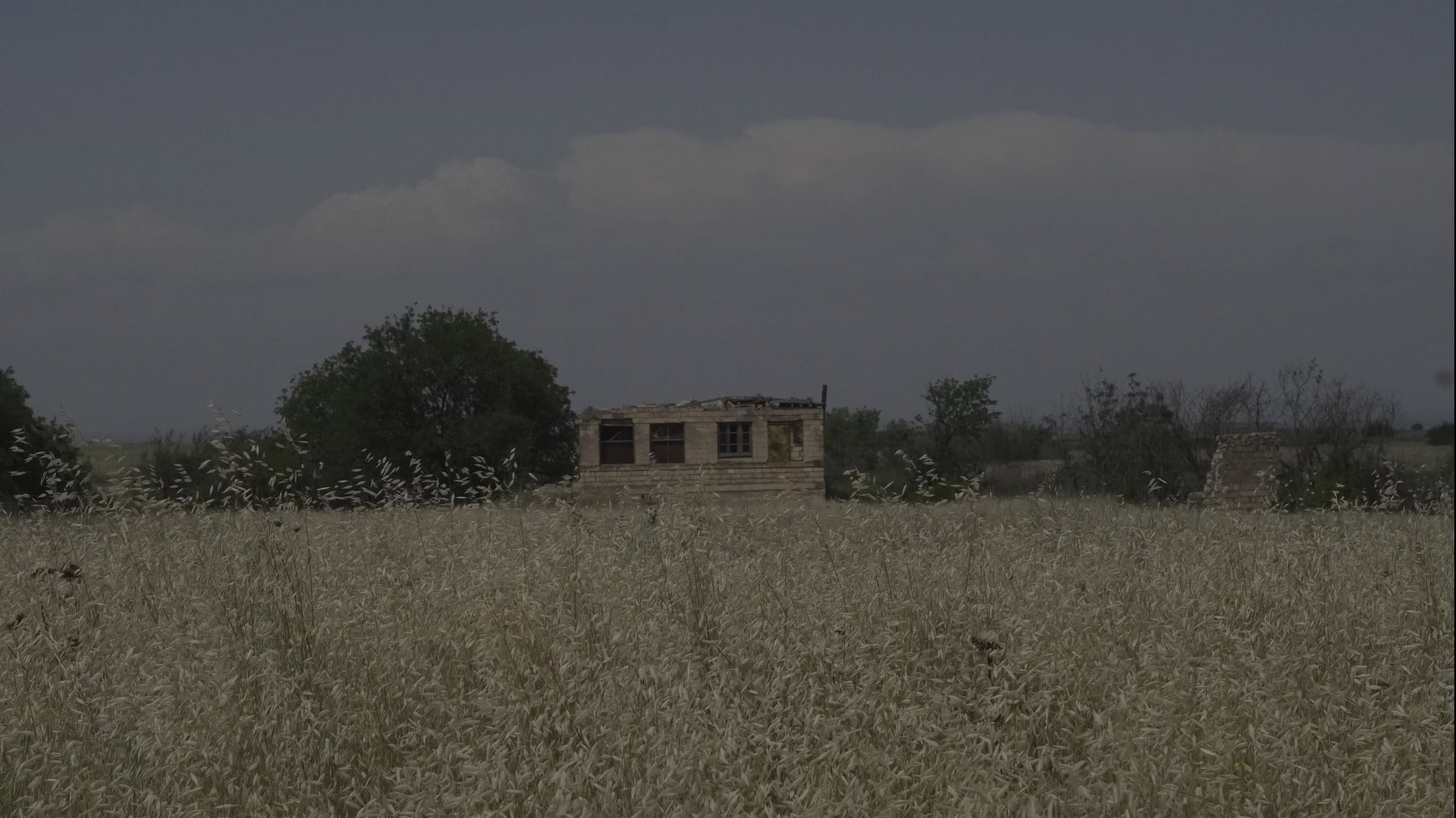 Ones Left Behind backdrop