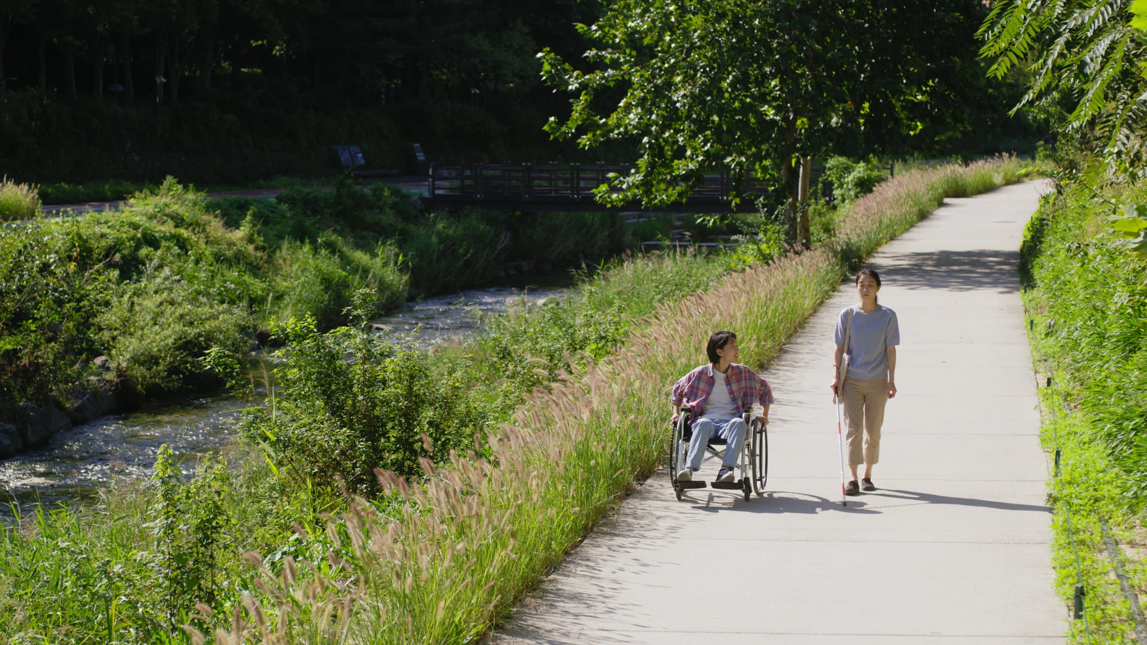 An Ordinary Day backdrop